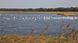 IMG_4640.JPG