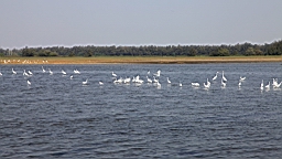 IMG_4642.JPG
