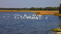 IMG_4646.JPG