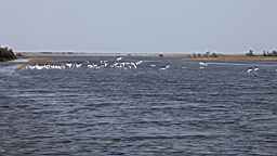 IMG_4651.JPG
