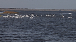 IMG_4655.JPG