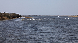 IMG_4657.JPG