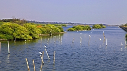 IMG_4662.JPG