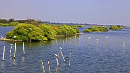 IMG_4664.JPG