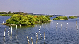 IMG_4666.JPG