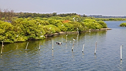 IMG_4670.JPG