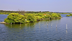 IMG_4671.JPG