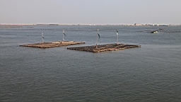 IMG_4687.JPG