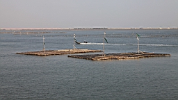 IMG_4689.JPG