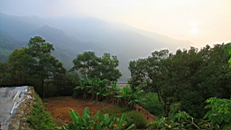 IMG_4763.JPG