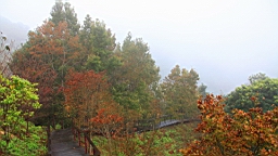 IMG_4794.JPG