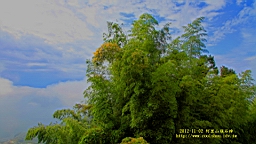 IMG_5092.JPG