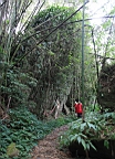 IMG_5108.JPG