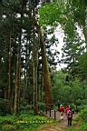 IMG_5118.JPG