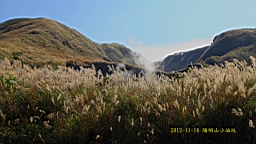IMG_5181.JPG