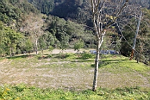IMG_6282.JPG