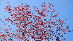 IMG_6283.JPG
