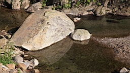 IMG_6284.JPG