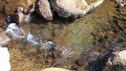 IMG_6285.JPG