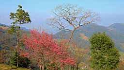 IMG_6290.JPG