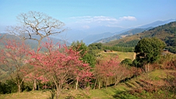 IMG_6292.JPG