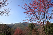 IMG_6294.JPG