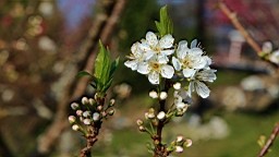 IMG_6296.JPG