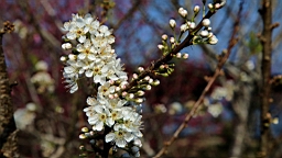 IMG_6298.JPG