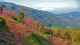 IMG_6303.JPG