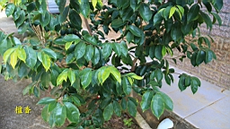 IMG_6354.JPG
