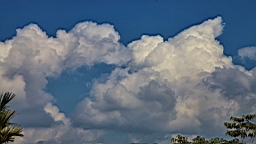 IMG_6356.JPG
