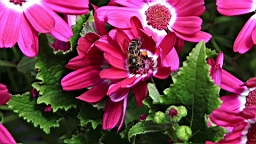 IMG_6367.JPG