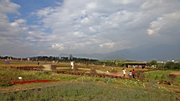 IMG_6370.JPG