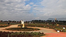 IMG_6373.JPG