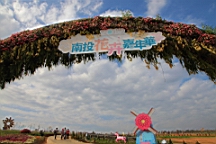 IMG_6376.JPG