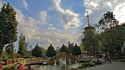 IMG_6380.JPG