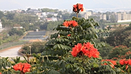 IMG_6383.JPG