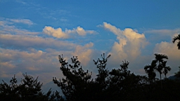 IMG_6409.JPG
