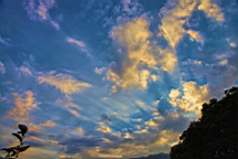IMG_6414.JPG