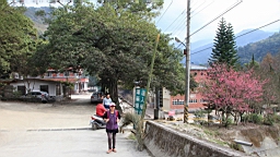IMG_6429.JPG