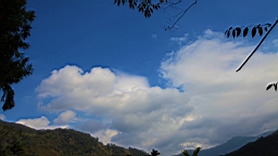 IMG_6447.JPG