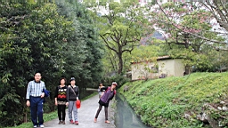 IMG_6487.JPG