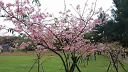 IMG_6530.JPG