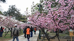 IMG_6547.JPG