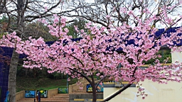 IMG_6553.JPG