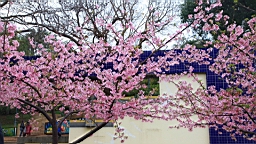 IMG_6555.JPG