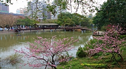 IMG_6557.JPG