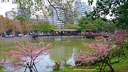 IMG_6560.JPG