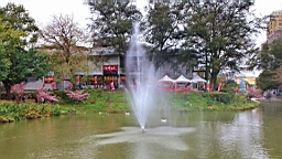 IMG_6572.JPG