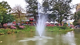 IMG_6573.JPG